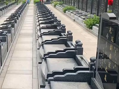 案例展示