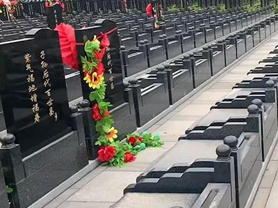 案例展示