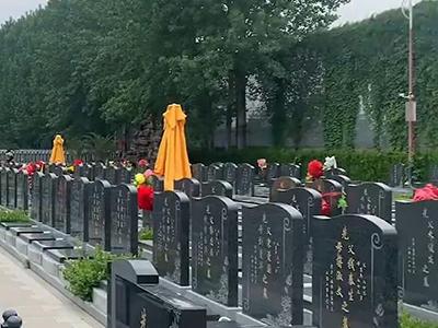 案例展示